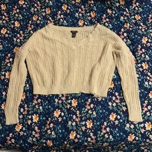 Rue 21 Tan Knit Sweater
